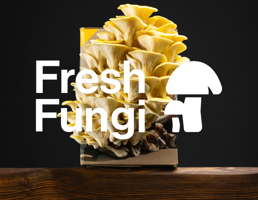 Svamp från Fresh Fungi inför provsmakning hos ICA Kvantum Gränby.